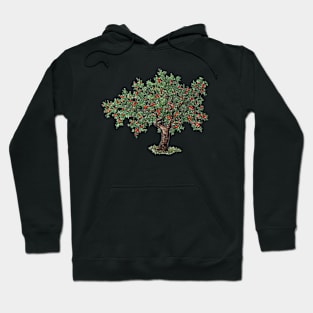 January birthday apple tree Hoodie